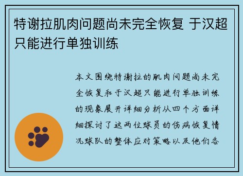 特谢拉肌肉问题尚未完全恢复 于汉超只能进行单独训练