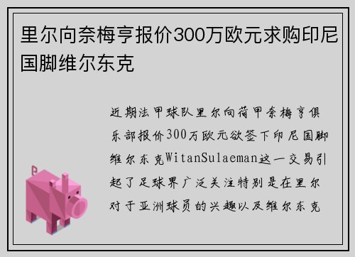 里尔向奈梅亨报价300万欧元求购印尼国脚维尔东克